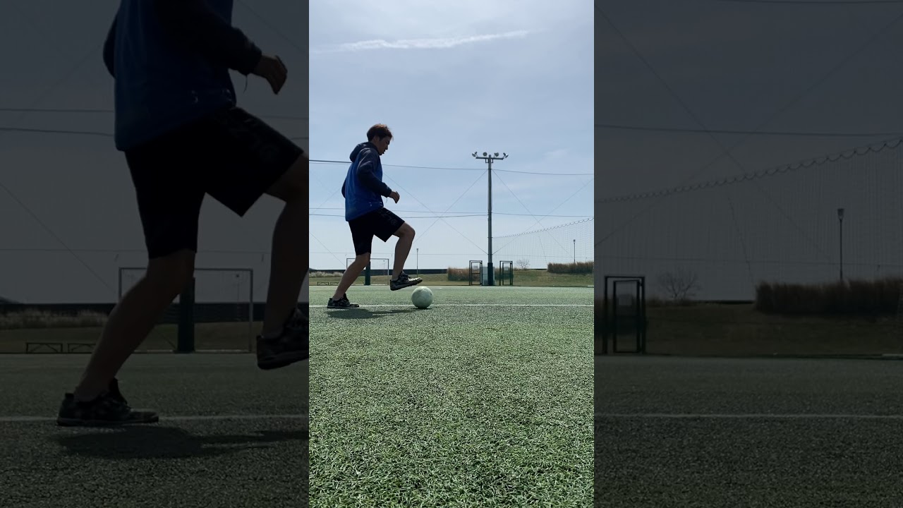 すべての動画