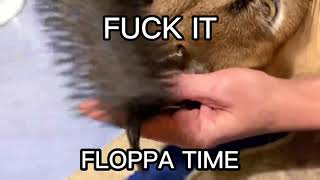 Floppa Time