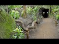 Largest Indoor Rainforest, the Lied Jungle in Omaha Nebraska