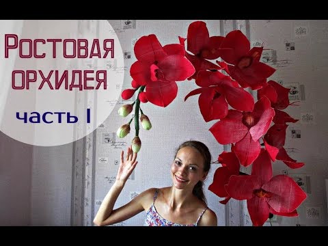 Ростовой цветок мак Ростовой цветок мак