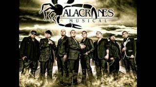 Watch Alacranes Musical Abrazado De Un Poste video