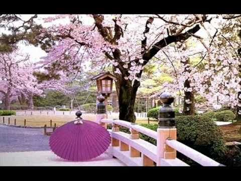 Sun liya _ HD - Emotional Attiyachar ..
