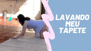Resolvi Lavar O Meu Tapete 2025 - Fabricia Freitas