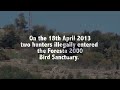 Illegal hunting in Foresta 2000 Bird Sanctuary, Malta, 18th April 2013