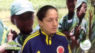 9sDAkE4bUaw Video Image
