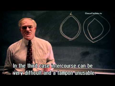 The hymen and the virginity myth