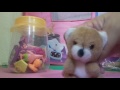 Bonecas Fugindo Do Urso Brincando Com Cec Lia 01 Bonecas Fugindo Do Urso Brincando Com Cec Lia 01