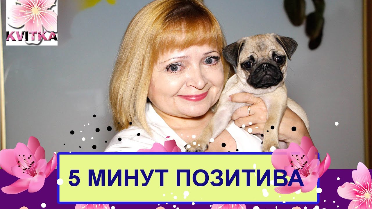 Светлана соколова дизайны ногтей Светлана соколова дизайны ногтей