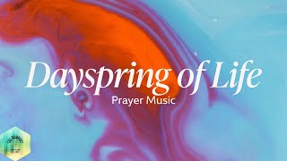 Watch Brilliance Dayspring Of Life video