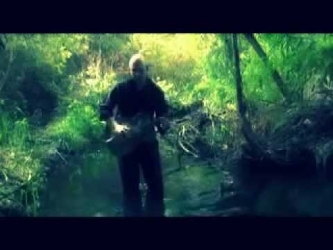 monkey rocker tango video