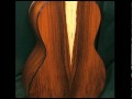 Dave King Parlor Guitar at Guitar Gallery