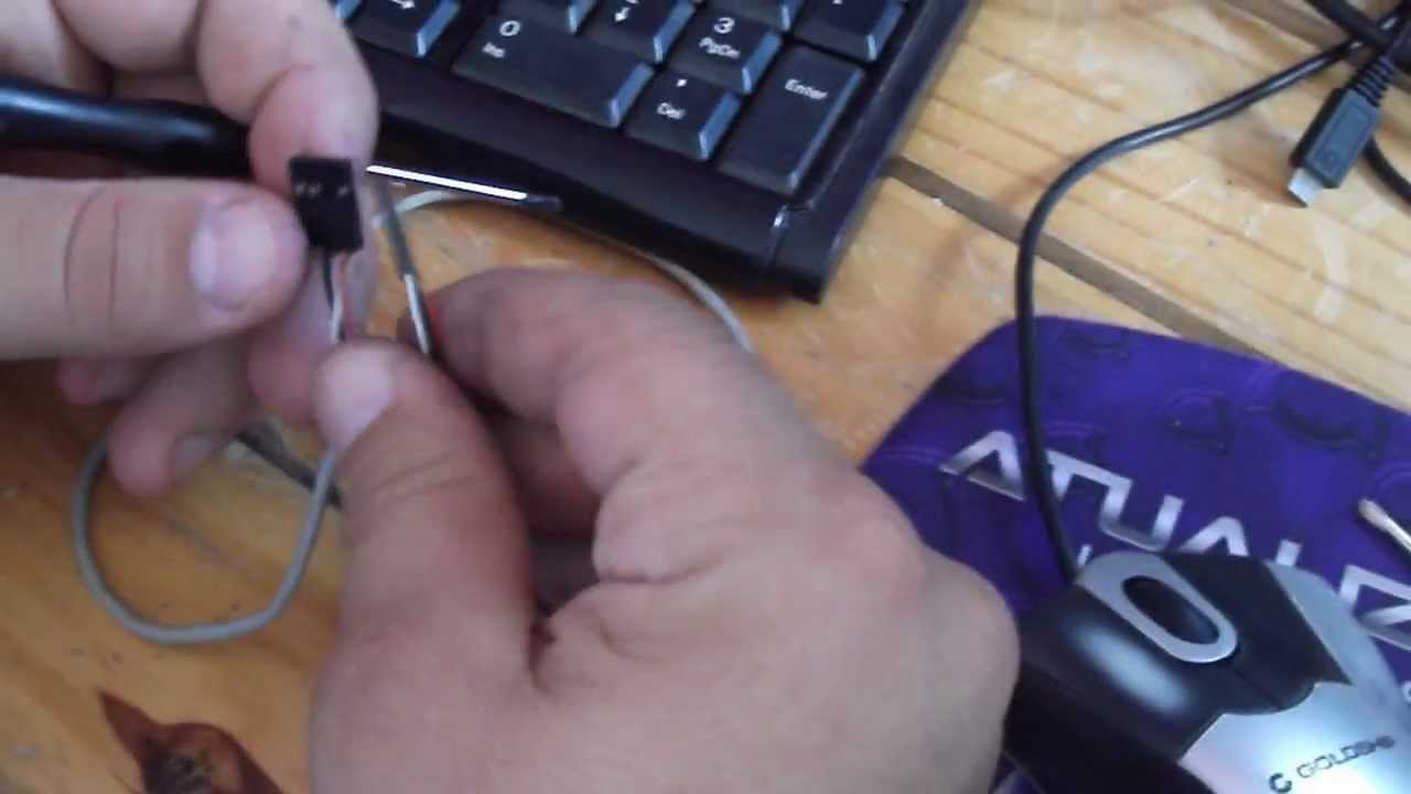 Digital Physiognomy Crack Key