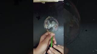 Nano Tap Balloon Tap S Craft And Art