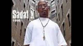 Watch Sadat X Do It Again video