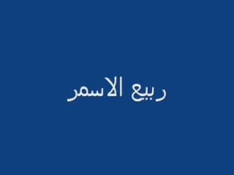 Sabeer Ayoob - Rabea Alasmar