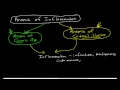 Anemia Pathophysiology 3: Anemia of Inflammation (Anemia of Chronic Disease)