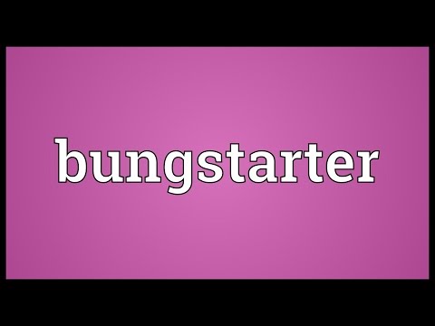 Header of bungstarter