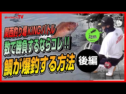 関西釣り堀KINGバトル2024ファイナル〜数で勝負するならコレ!!鯛を爆超する方法/後編