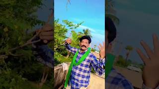 Vasanthamla Vachhipova Ela Songmuddula Priyudu Movievenkateshramyakrishna