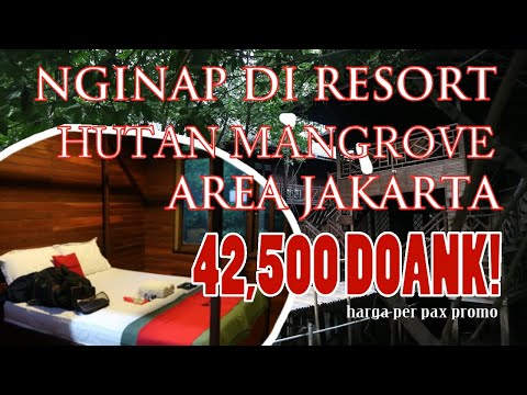 MENGINAP DI RESORT HUTAN MANGROVE JAKARTA CUMA BAYAR 42,500 PERAK!