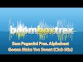 Gonna Make You Sweat (Club Mix) - Sam Paganini Pres. Alphabeat (HD)