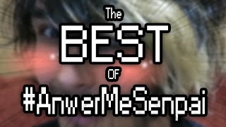 THE BEST OF #ANSWERMESENPAI