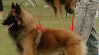 RapportGrafia Video 5 Cuello