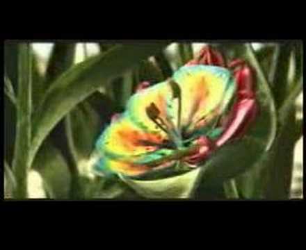 Giant+Plant+Vore Giant Plant Vore http://www.revolutionmyspace.com/videos-2/plant_vore