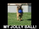 Ekko's Ode to Jolly Ball dog toy