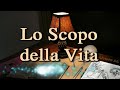 scopo