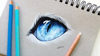 Realistic cat eye drawing with colored pencil | Leontine van vliet