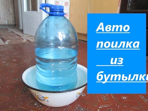 Поилка для уток своими руками Поилка для уток своими руками