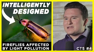 Lighting bugs affected by Light Pollution: Scientists Enlightened by Fireflies | CTS E4