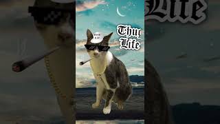 Thug Life Cat