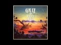 GRiZ - Feel The Love