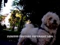 18+ SEX DWARF CAUGHT ON CAMERA IN MY SECRET GARDEN الحيوانات الجنس