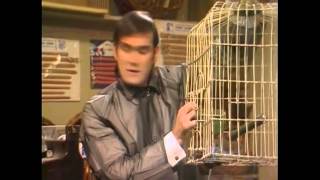 Monty Python REGROUP-It's NOT a DEAD PARROT !