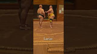 Pro Wrestllngsumo