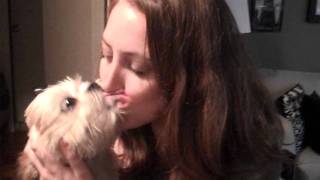 Dog French Kisses Girl to Death