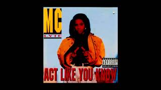 Watch Mc Lyte Search 4 The Lyte video