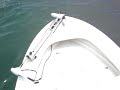 Two Giant Bull Sharks Attack Extreme Tarpon Fishing Boca Grande images Two Giant Bull Sharks Attack Extreme Tarpon Fishing Boca Grande