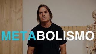 METABOLISMO / FRANCIS HOLWAY