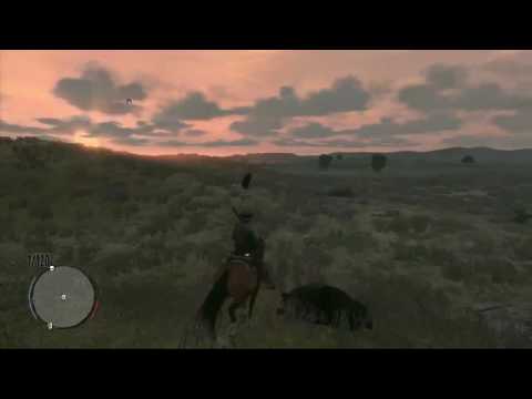Tumbleweed Video