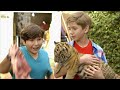 Watch A Tiger's Tail Free Streaming Movies DVD Quality