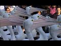 Pelicans : Outback Nomads - Documentary Full Film