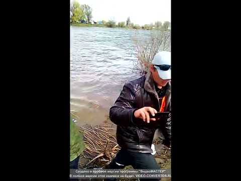 ловля воблы в апреле на волге ловля воблы в апреле на волге