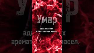 Секрет Власти Умара #Shorts #Ислам