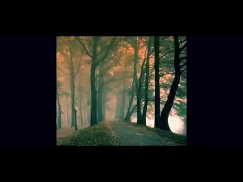 Скачать песню a himitsu lost within