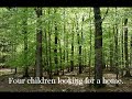 The Boxcar Children (2014) Watch Online