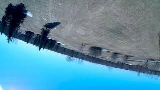 Fpv Flight In Quarantine Betafpv Hx115 Hd